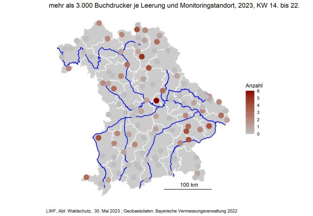 Bayernkarte zeigt Schwerpunkte der Borkenkäferfänge