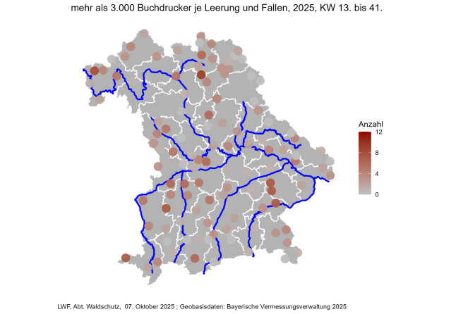 Bayernkarte mit eingezeichneten Borkenkäfermonitoring-Standorten: Borkenkäfermonitoring-Standorte mit mehr als 3.000 Buchdruckern je Falle und Woche im Betrachtungszeitraum von Anfang April bis Ende September. Je dunkler die Färbung, desto höher sind die Buchdruckerdichten und umso häufiger wurden die Schwellenwerte für Stehendbefall erreicht (dunkelste Rotfärbung: 12 Wochen).
