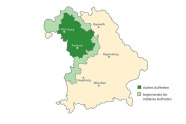 Politische Karte von Bayern zeigt die Verbreitungsschwerpunkte des Eichenprozessionsspinners. Das stärkste Auftreten findet man in Würzburg und Ansbach. 