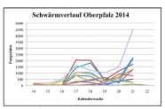 Fangzahlen von Buchdruckern in Fallen der Oberpfalz von der 14. - 21. Kalenderwoche 2014. Ab der 20. Woche steigen die Zahlen stark an.