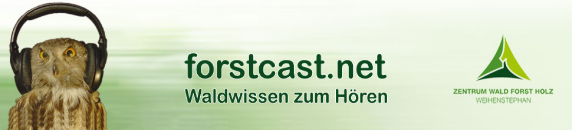 forscast.net Header