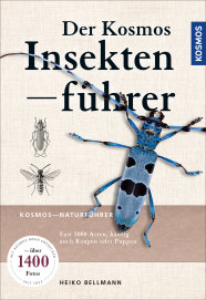 Beige-brauner Buchtitel mit Abbildung eines blauen Alpenbock-Käfers.