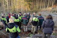 Gruppe von Forstpersonen stehen in einer Versuchsfläche und bekommen Erklärungen von Fachpersonal.