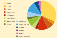 Grafik zeigt das Verhältnis von Probekreisen, in denen eine Baumart vertreten ist.