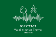 Titelbild des Forstcast mit weiß gezeichneter Tonspur und daraus hervorgehenden Bäumen.