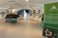 Blick in einen Ausstellungsraum der Wanderausstellung.