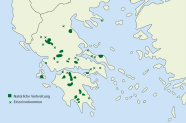 Karte Südeuropas mit dem Verbreitungsgebiet der griechischen Tanne
