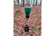 Messgerät steckt im laubbedeckten Waldboden.