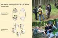 Gruppen im Wald: disziplinärer und interdisziplinärer Austausch vor Ort