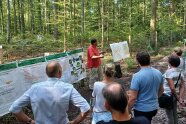 Teilnehmende stehen im Halbkreis um einen Referenten der einen Vortrag im Wald hält.