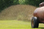 Ein Traktor fährt Gülle aus auf einer Waldwiese