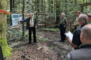 Teilnehmende stehen im Halbkreis um einen Referenten der einen Vortrag im Wald hält.