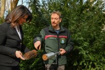 Landesinventurleiter Herr Falk zeigt Forstministerin Michaela Kaniber eine Bodenprobe