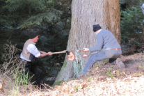 Zwei Holzfäller schlagen mit ihren Äxten einen Fällkeil in einen Baum mit großem Durchmesser