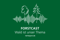 Logo "Forstcast - Wald ist unser Thema" mit weißem Schriftzug auf grünem Grund und Zeichnung von Audio-Kurven und Bäumen