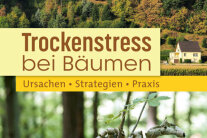 Titel "Trockenstress bei Bäumen"