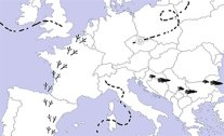 Europakarte mit Spuren von Vögeln etc darauf