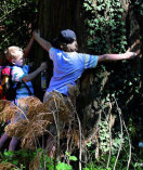 Kinder umfassen einen dicken Baumstamm