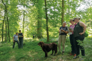 Fünf Frauen stehen mit einem langhaarigen Hund in zwei Grüppchen im Wald und studieren Papiere in ihren Händen