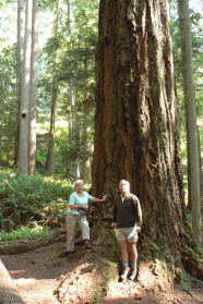 Eine Frau und ein Mann stehen vor einem Baumstamm.