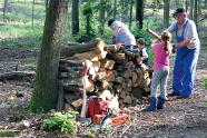 Familie bereitet Brennholz im Laubwald auf.
