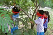 Das Foto zeigt Schulkinder aus China, die mit verbundenen Augen einen Baum ertasten.