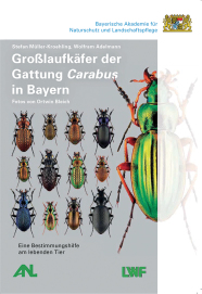 Cover 'Großlaufkäfer in Bayern'