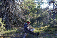 Eine Frau mit Winterkleidung sitzt auf einem baumstumpf im Wald und liest ein Buch