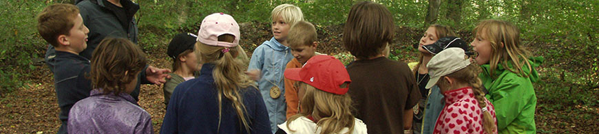 Eine Gruppe von Kindern steht in einem Laubwald.